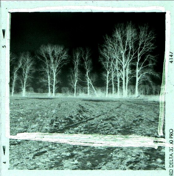 Bild zu: Grundlagen der S/W-Laborarbeit - Bildvergrößerung