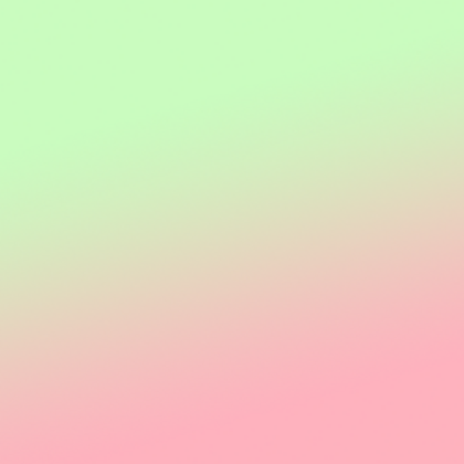 Dahin wo der Kakao wächst